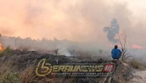 Asap Karhutla Menyelimuti Berau, Pemadam Sebut 90 Persen Titik Api Dipicu Ulah Manusia
