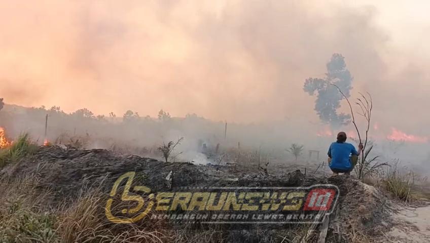 Asap Karhutla Menyelimuti Berau, Pemadam Sebut 90 Persen Titik Api Dipicu Ulah Manusia