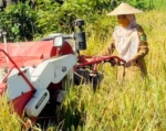 Cegah Lahan Pertanian Berubah Jadi Permukiman, Berau Sahkan Perda LP2B