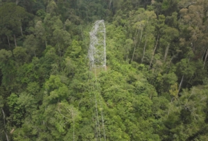 Tower Transmisi Maloy–Talisayan Rusak, Pemulihan Listrik Berau Dilakukan Bertahap